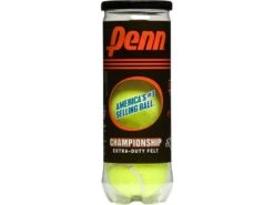 Penn Championship Extra Duty Single Can Tennis Balls