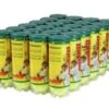 Wilson Championship Tennis Balls Regular Duty 24/Case